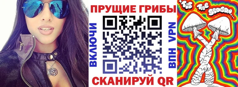 блэк спрут зеркало  Задонск  Галлюциногенные грибы Cubensis 